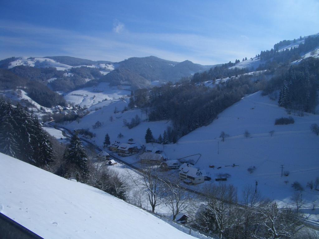 Gasthaus Sonne Hotel Muenstertal Luaran gambar